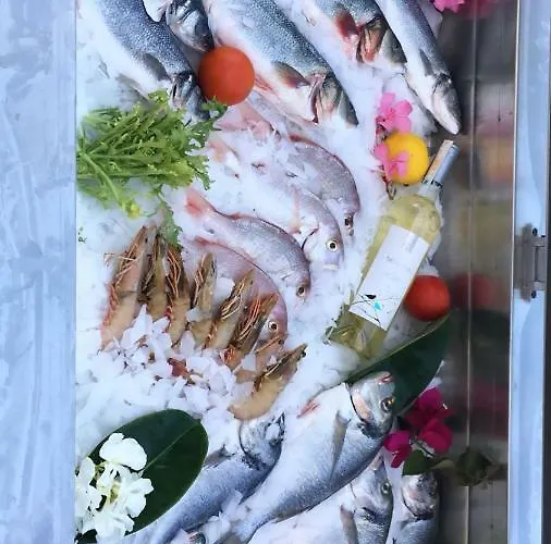 Melek / Angel 3* Μούγκλα